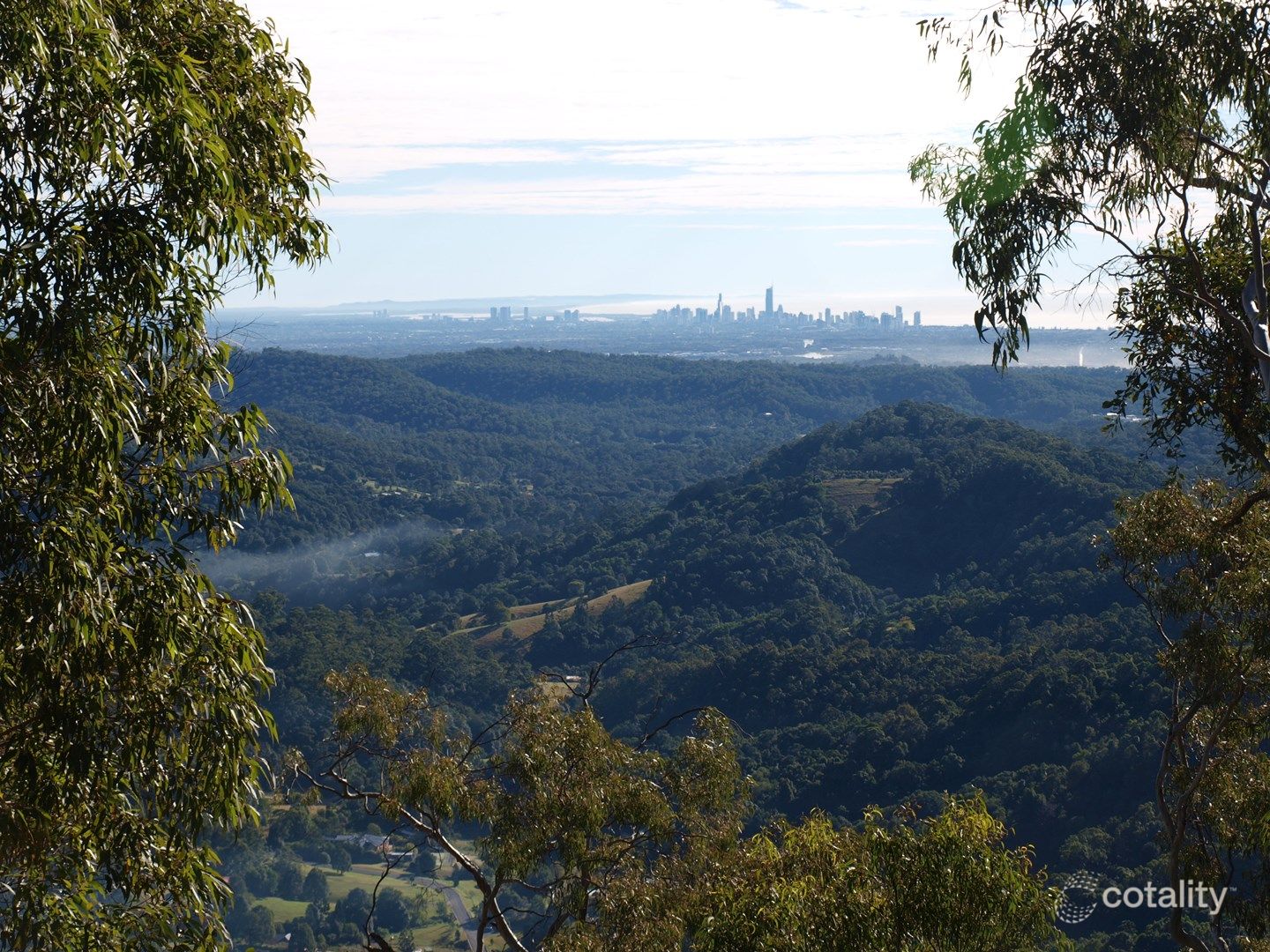 686 Trees Rd, Tallebudgera Valley, QLD 4228