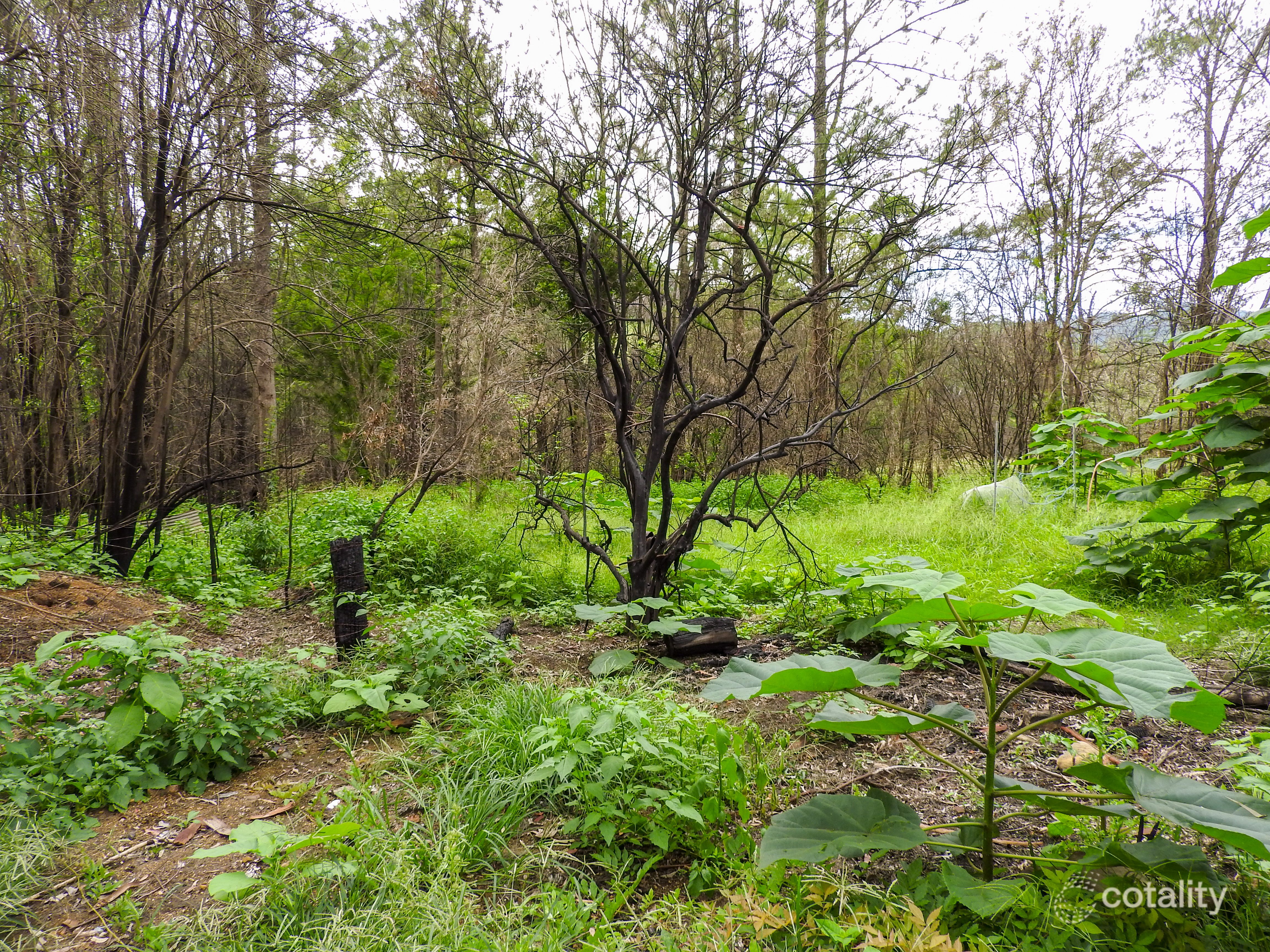 2562 Bulga Rd, Bobin, NSW 2429