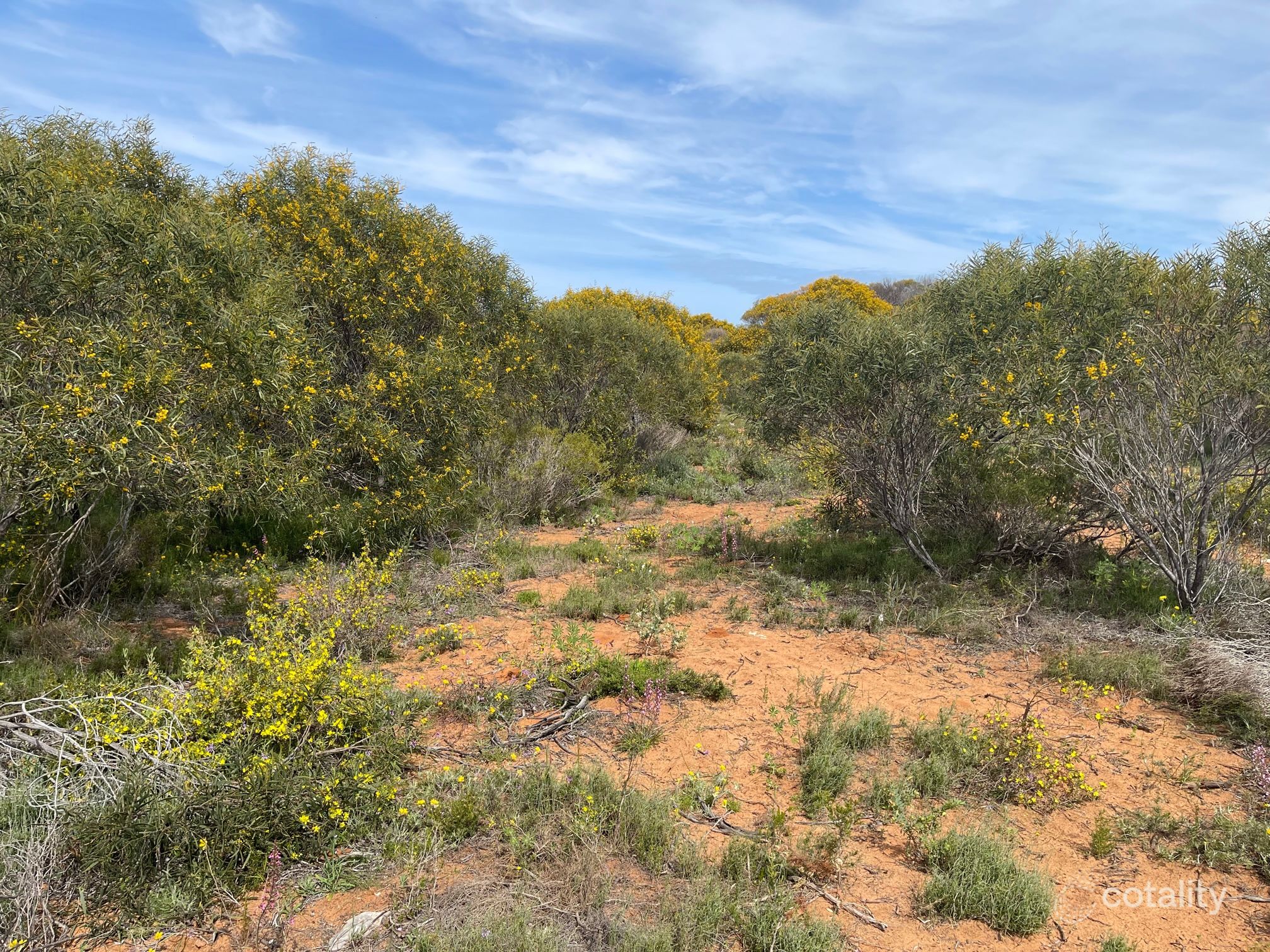 51 Mount Horner Rd W, Bookara, WA 6525