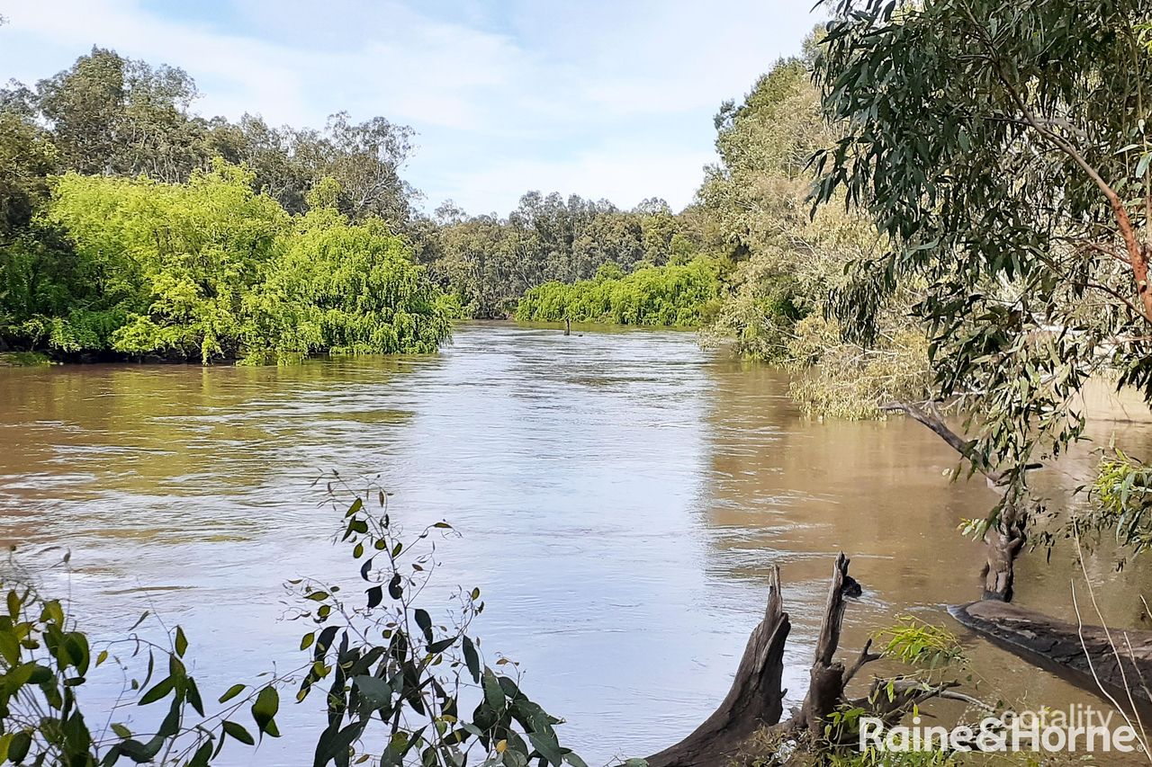 264 Gumly Rd, Forest Hill, NSW 2651