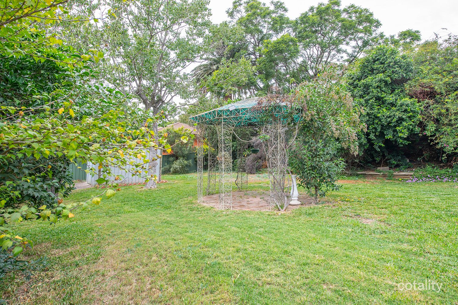 29 Bligh St, Muswellbrook, NSW 2333