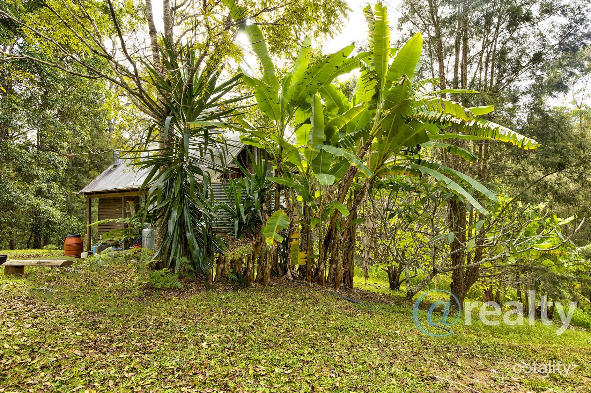 745 Upper Buckrabendinni Rd, Buckra Bendinni, NSW 2449