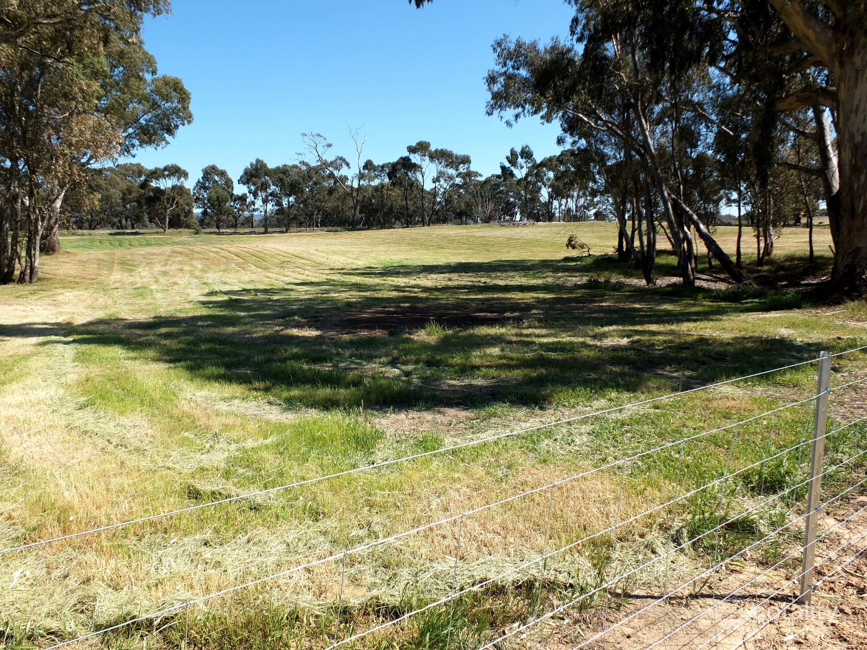 99 Orme St, Avoca, VIC 3467