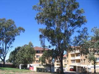 24/334 Woodstock Ave, Mount Druitt, NSW 2770