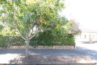 132 Morgan Ave, Melrose Park, SA 5039