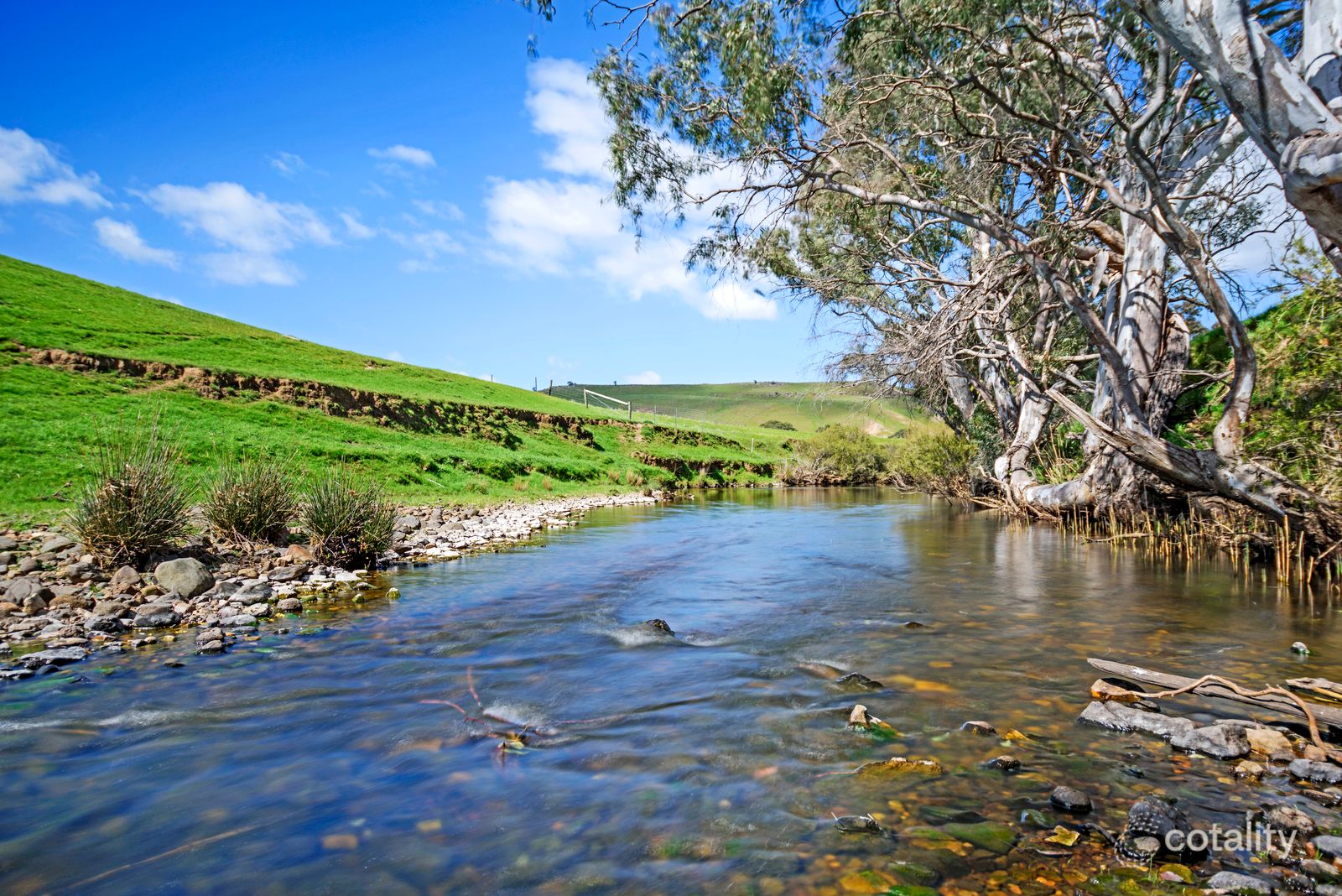 3733 Bolinda Darraweit Rd, Darraweit Guim, VIC 3756