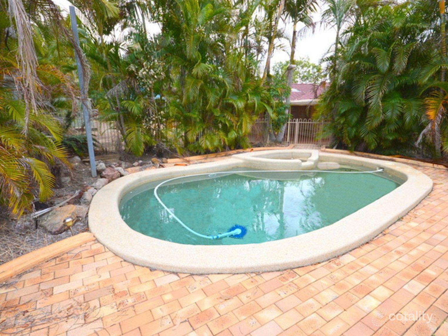 36 Fossicker Cct, Springfield, QLD 4300