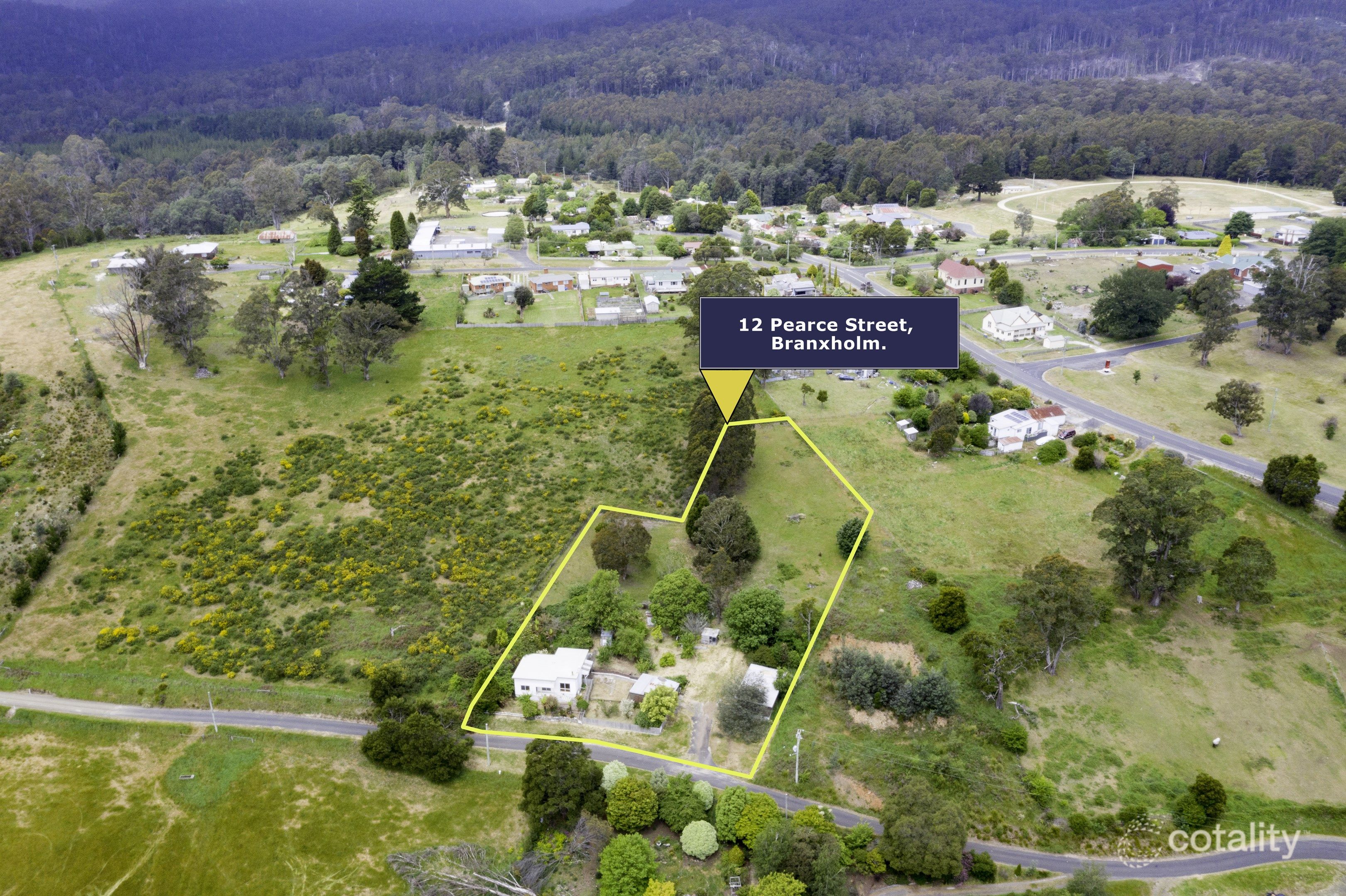 12 Pearce St, Branxholm, TAS 7261