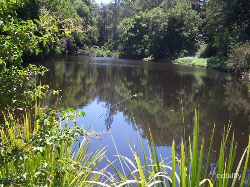 80 Dargavilles Rd, Nabiac, NSW 2312