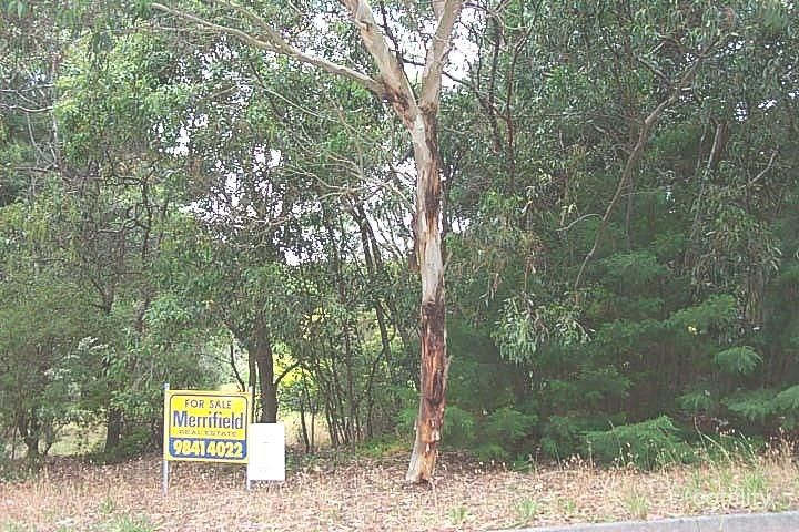 7 Thomas St, Mount Clarence, WA 6330