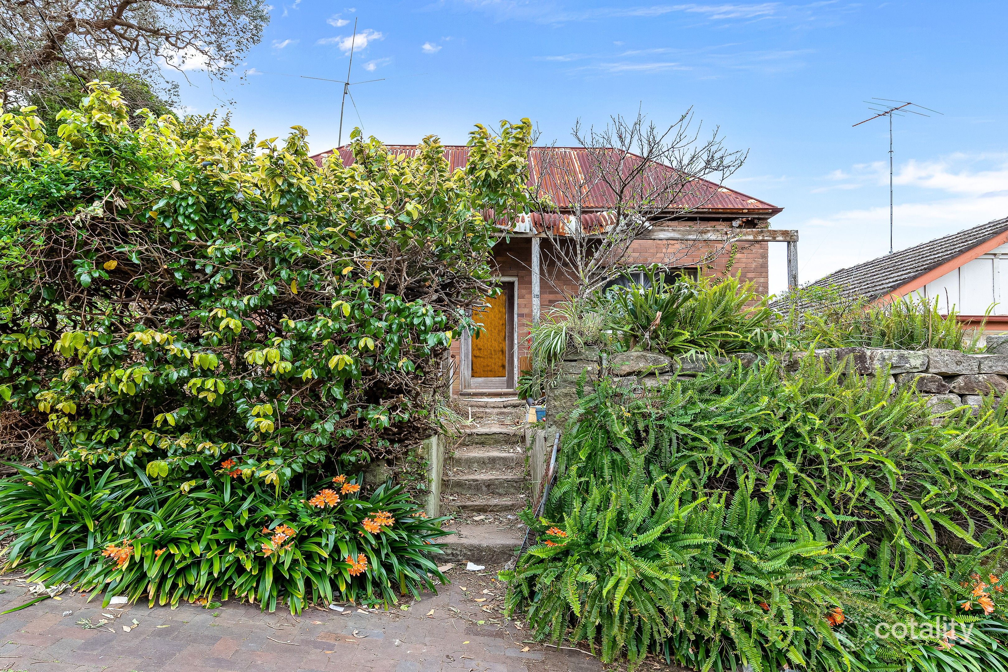 13 Wallace St, Marrickville, NSW 2204