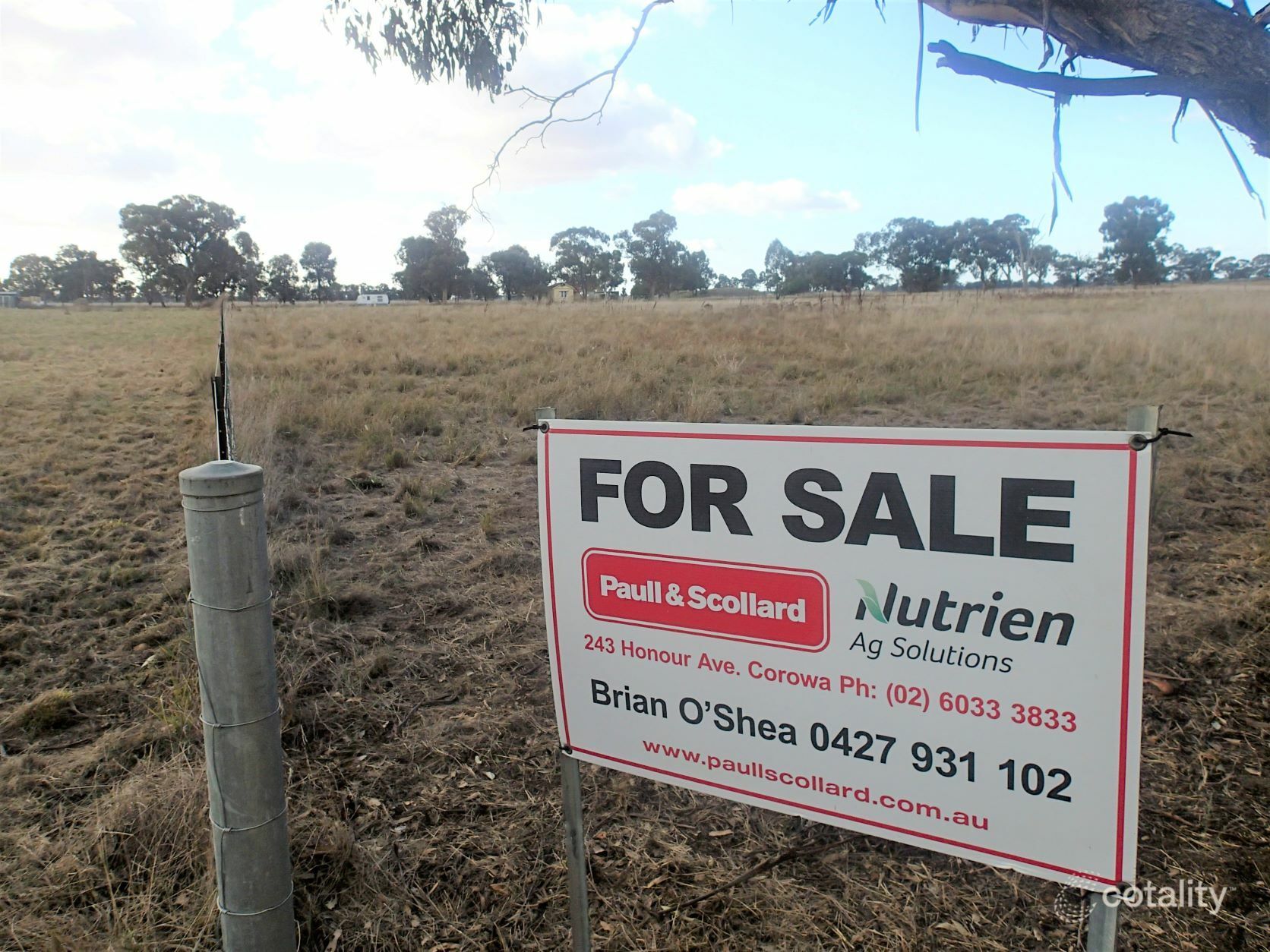 111 Cook St, Daysdale, NSW 2646