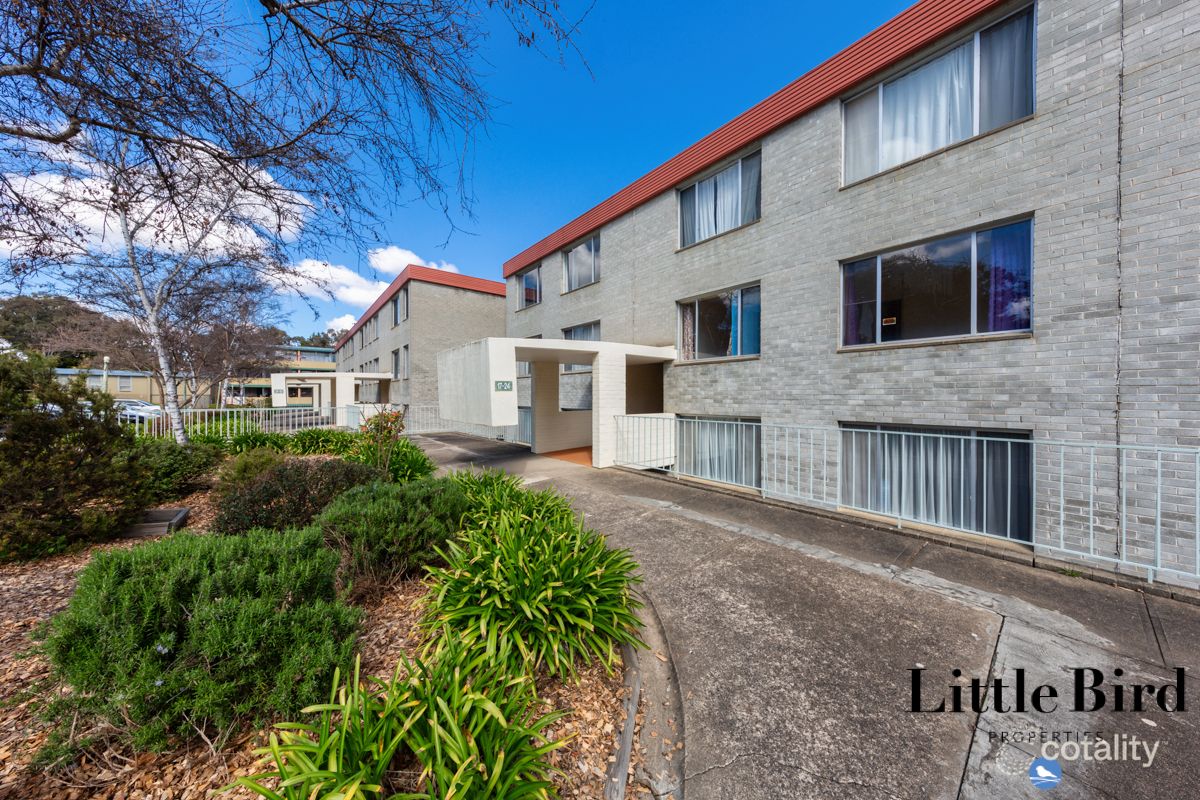 19/6 Wilkins St, Mawson, ACT 2607