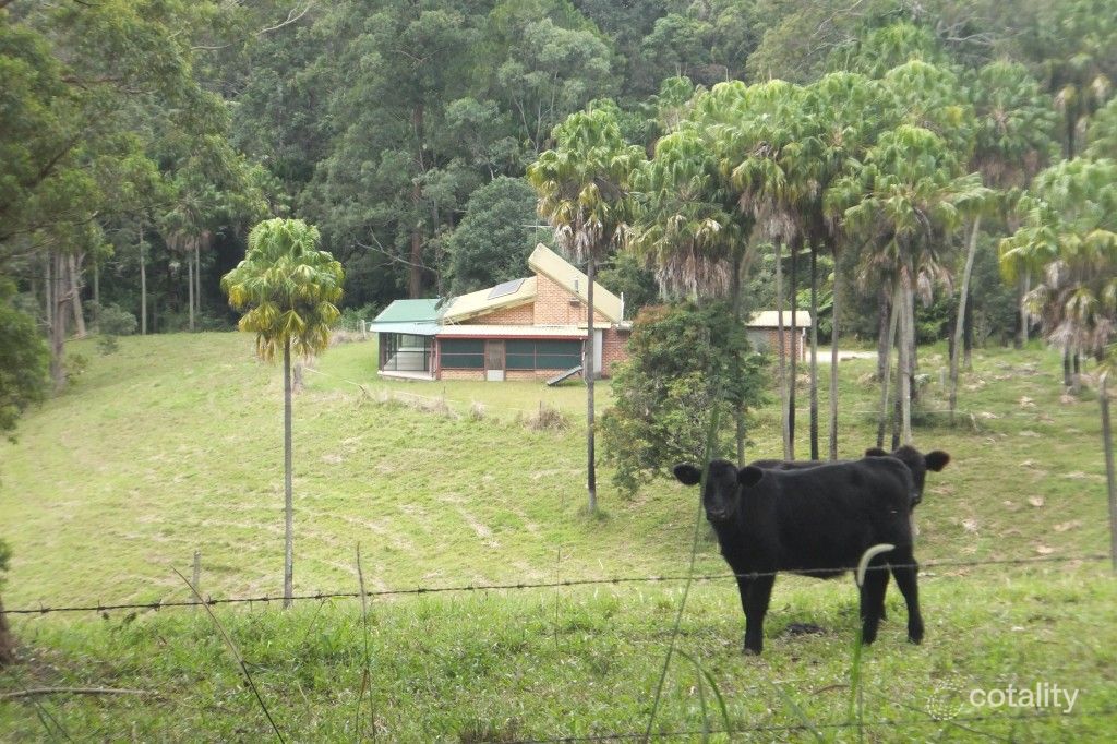 52 Hawks Rd, Newee Creek, NSW 2447