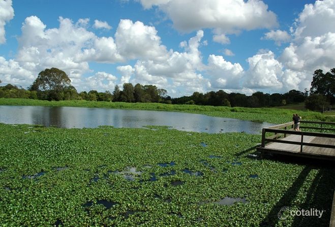 45 Gray St, Carina, QLD 4152