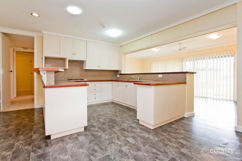 16 Bradbrook Rd, Athelstone, SA 5076