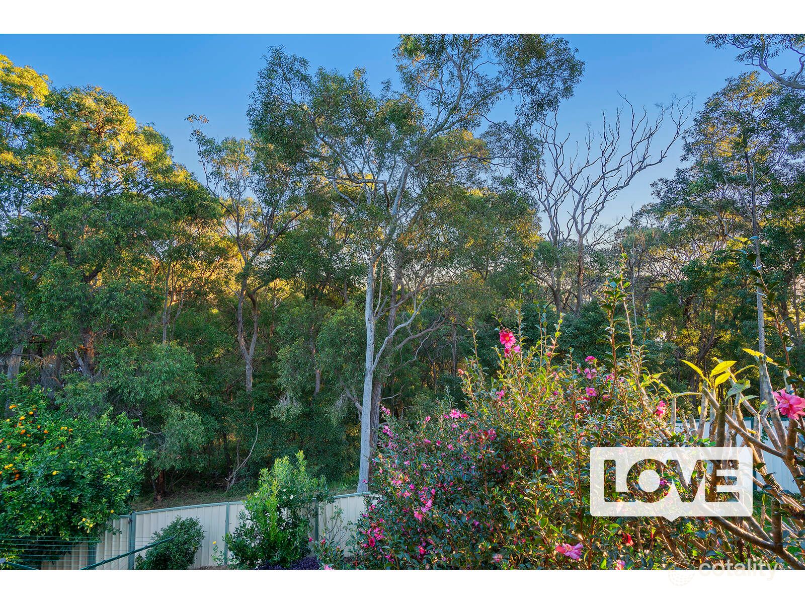 83 The Ridgeway, Bolton Point, NSW 2283