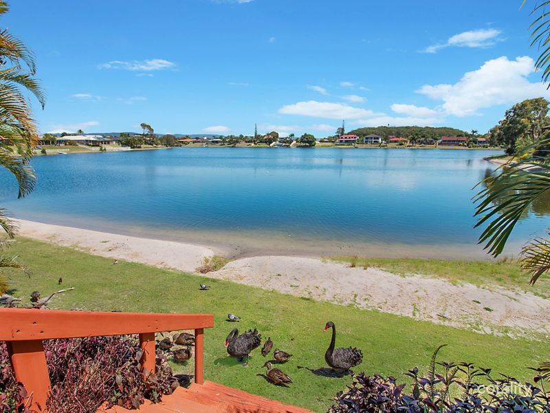 35/11 Shrike Ct, Burleigh Waters, QLD 4220