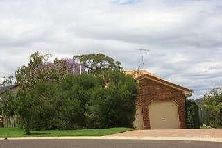 2 Tulip Ct, Middle Ridge, QLD 4350