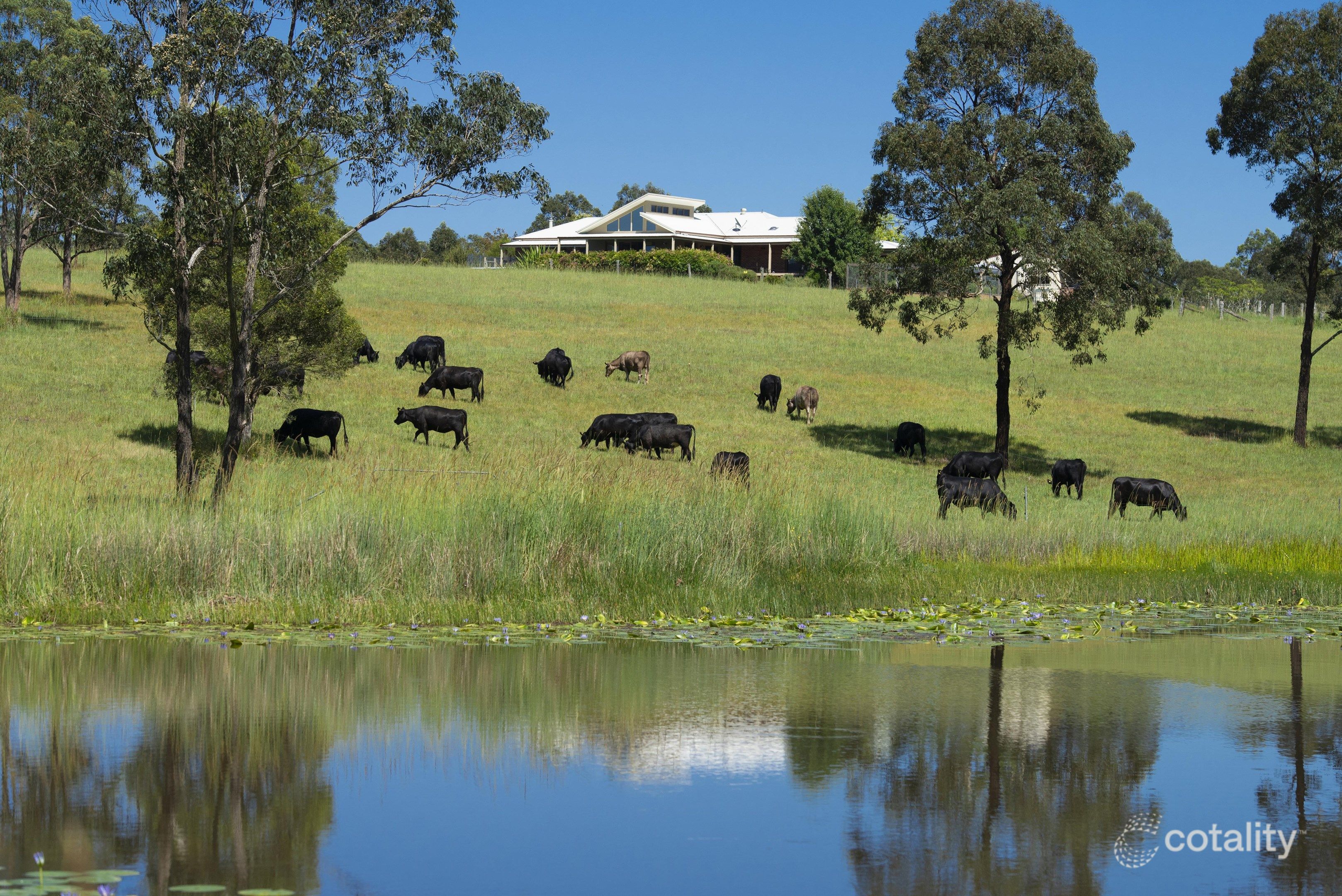 221 Trapyard Rd, Wang Wauk, NSW 2423