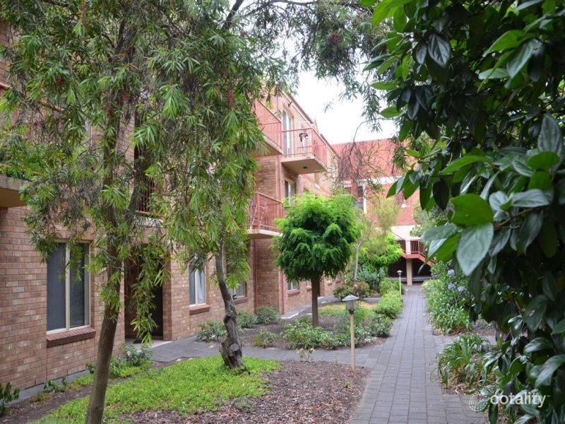 6/29 St Helena Pl, Adelaide, SA 5000
