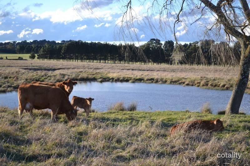 248 Exeter Rd, Sutton Forest, NSW 2577