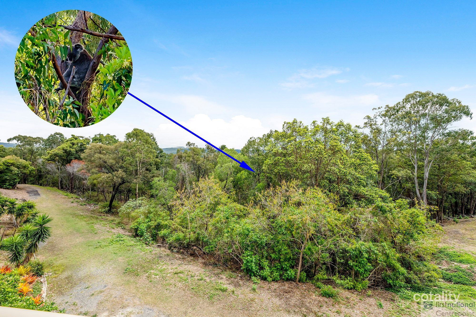 37 Tara Vista Bvd, Highland Park, QLD 4211