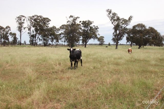 850 Cottons Rd, Muckatah, VIC 3644