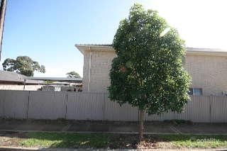 25 Montrose St, Ferryden Park, SA 5010