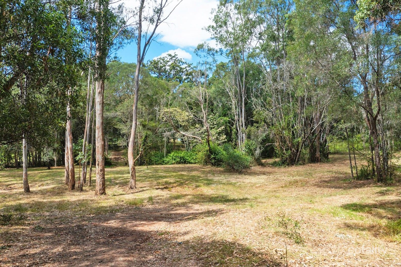 105 Patemans Rd, Ashby, NSW 2463