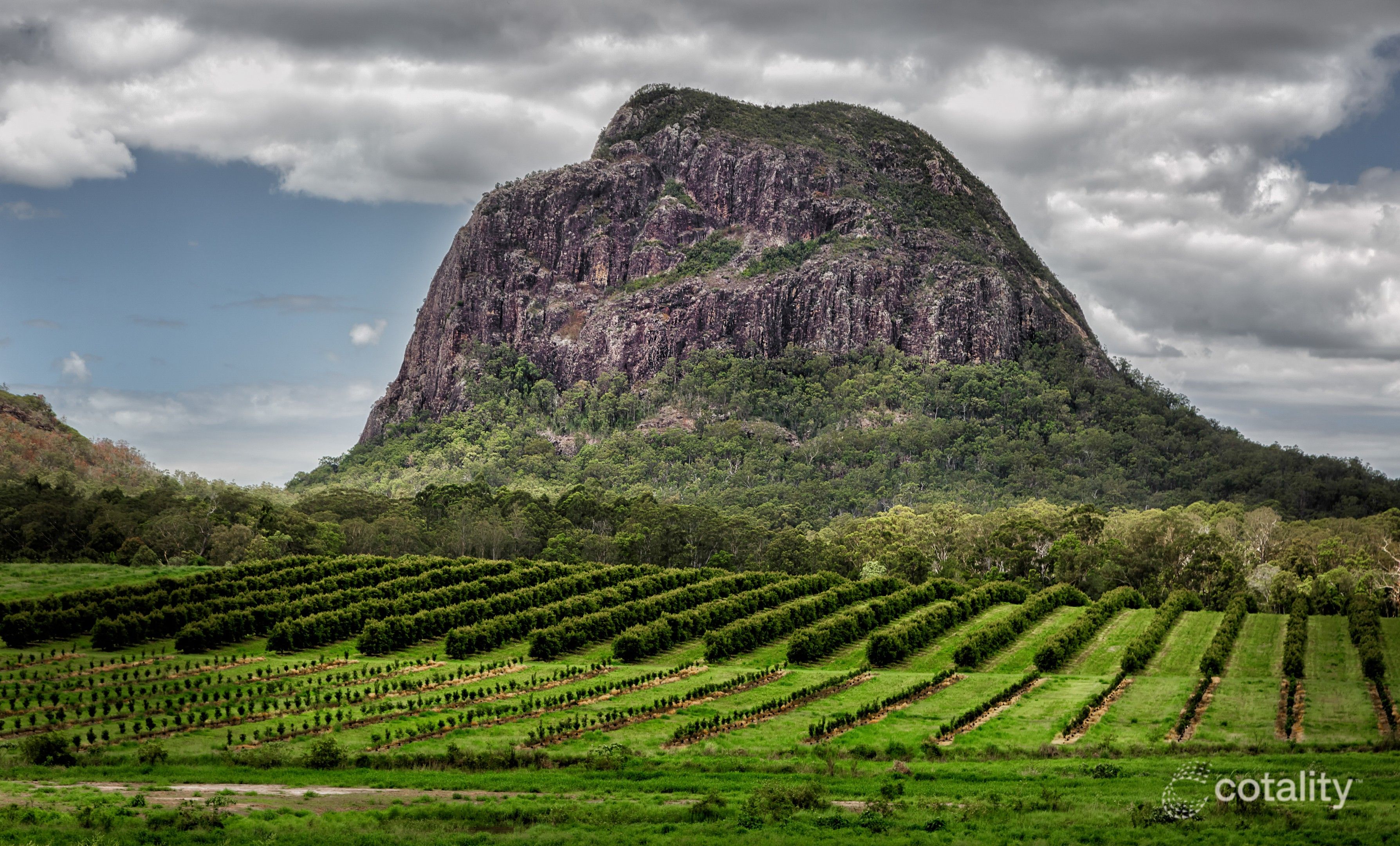 39 Laxton Rd, Palmview, QLD 4553