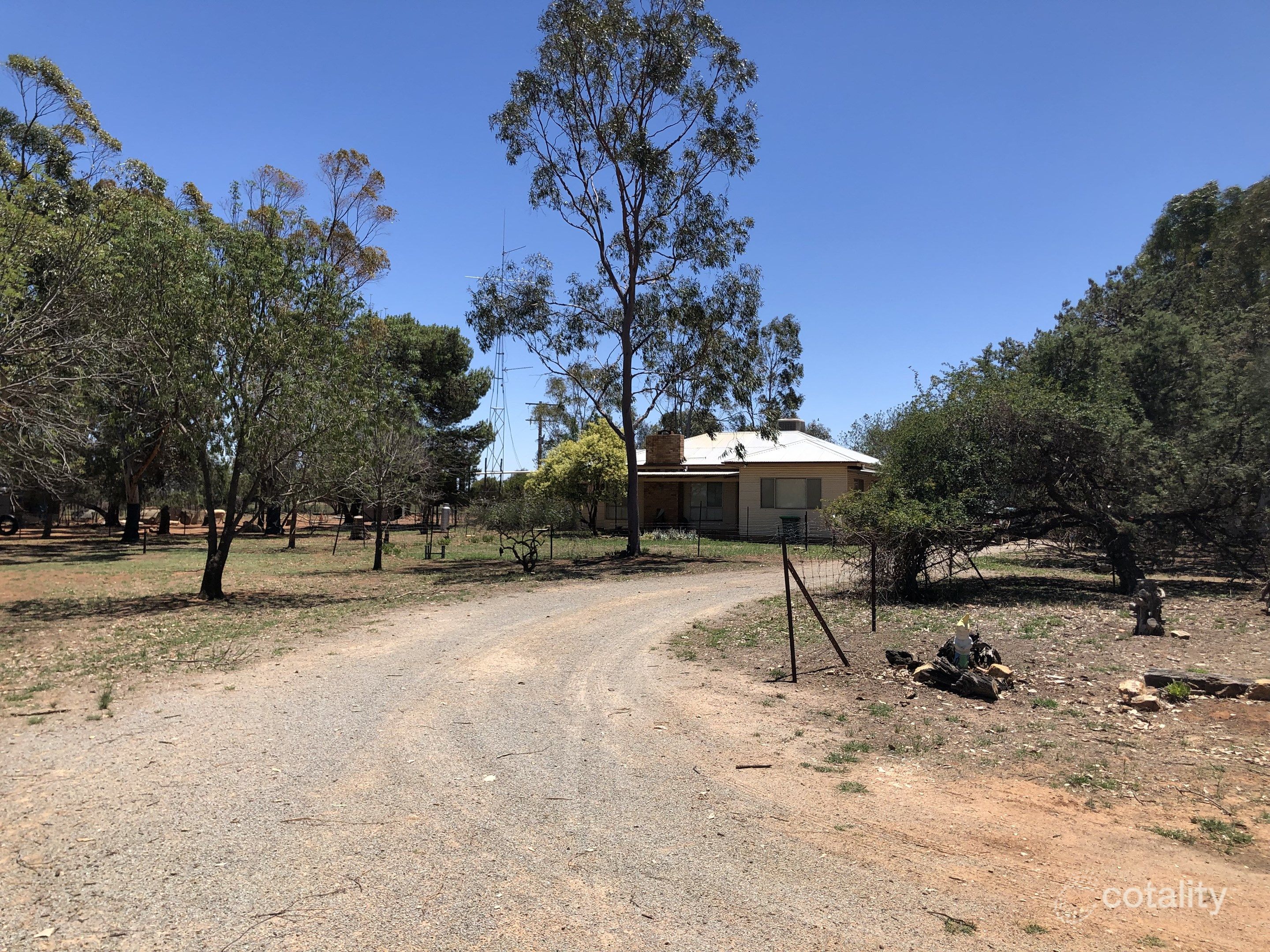 341 Walshs Lane, Matong, NSW 2652