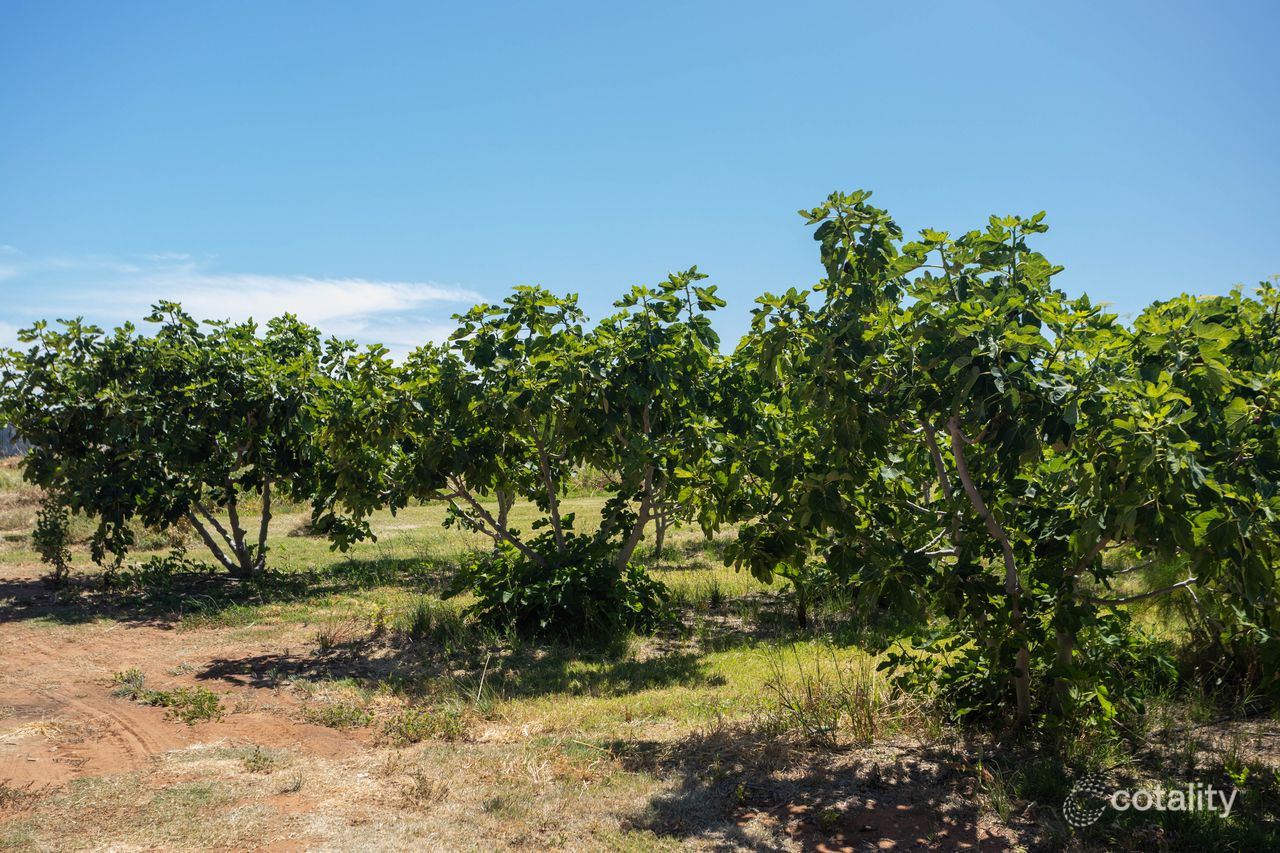 81 Garrett Rd, Glossop, SA 5344