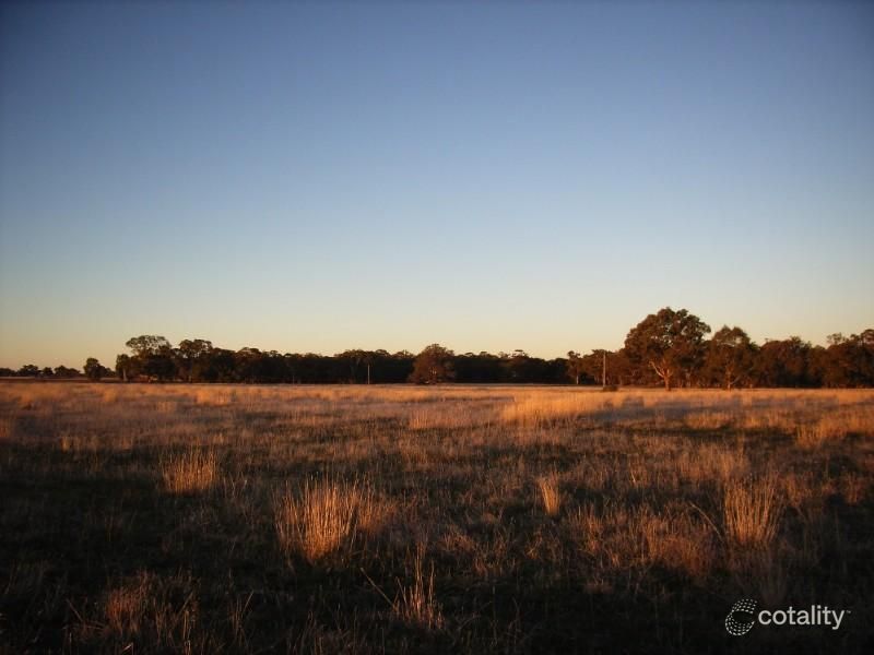 1181 Dunolly-Timor Rd, Timor, VIC 3465