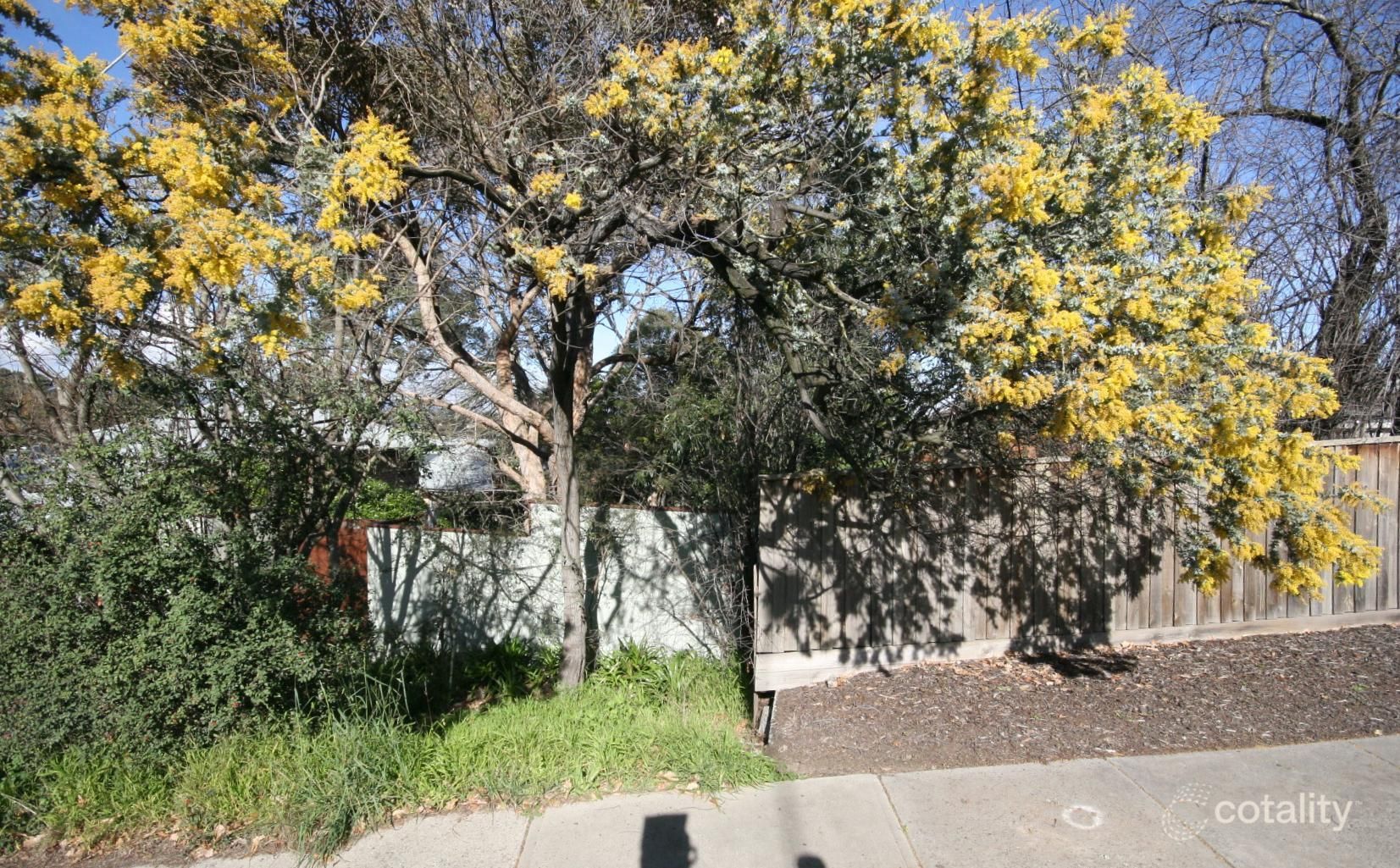 31 Loughnan Rd, Ringwood, VIC 3134