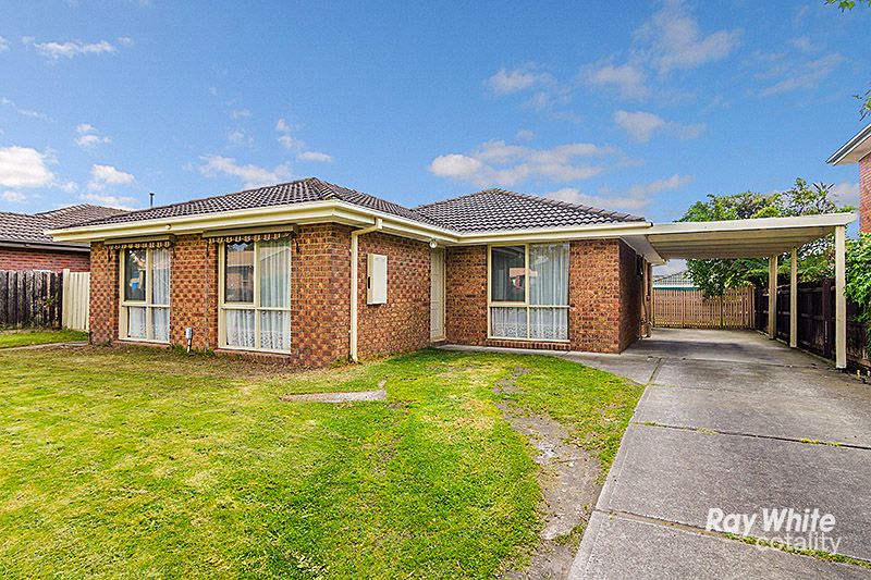 19 Eliza St, Cranbourne North, VIC 3977