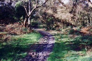 100 Ingersoll Rd, Pearcedale, VIC 3912