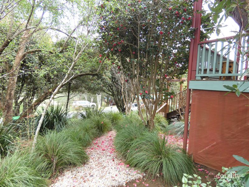 17 Hickory St, Dorrigo, NSW 2453