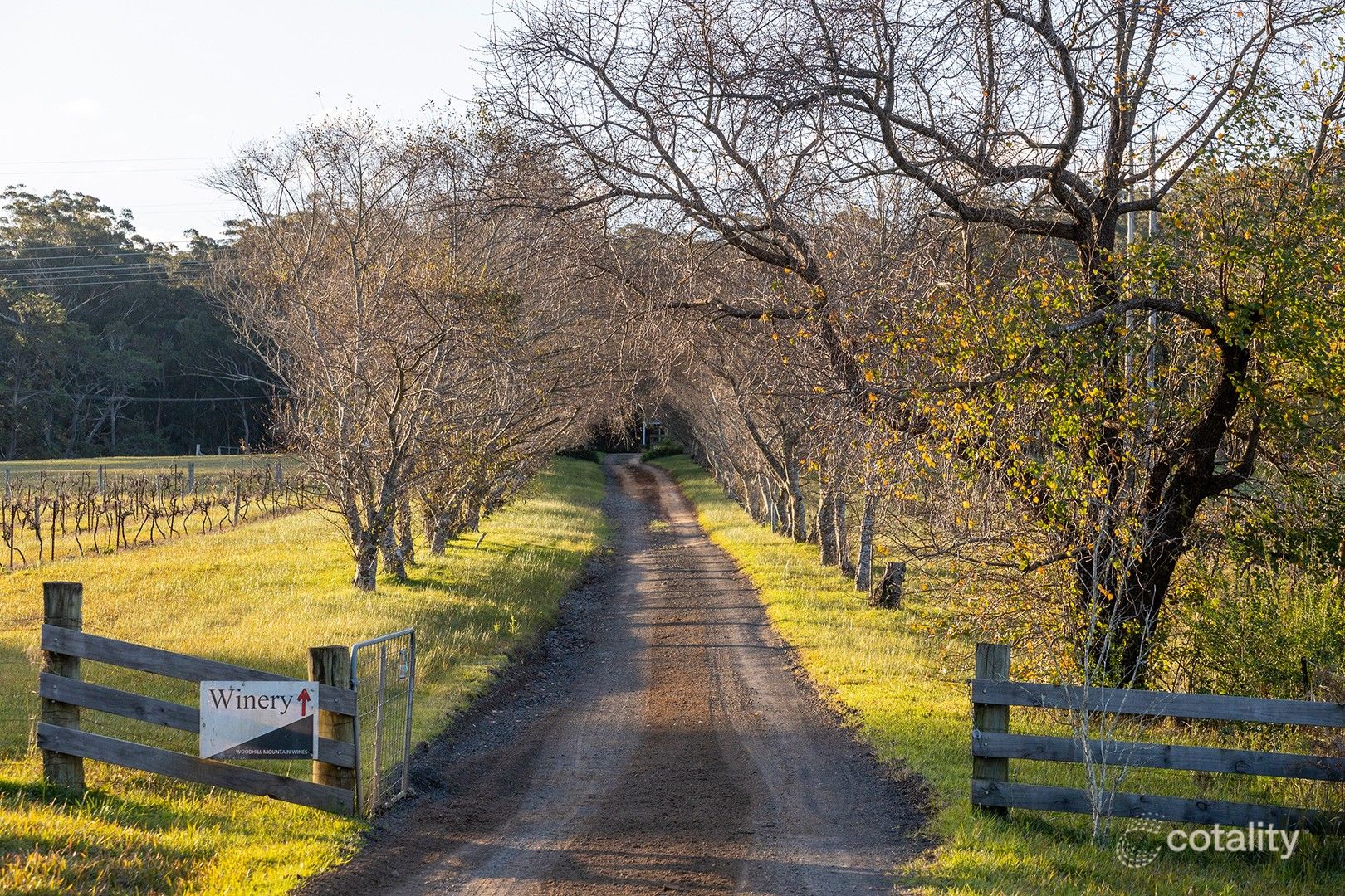 141 Woodhill Mountain Rd, Broughton Vale, NSW 2535