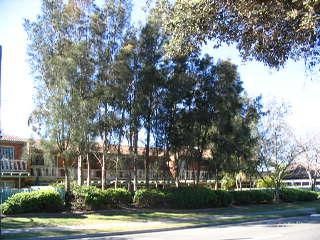 38/26 Macpherson St, Warriewood, NSW 2102