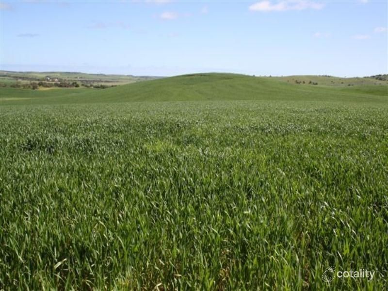 Wellington Rd, Bowes, WA 6535