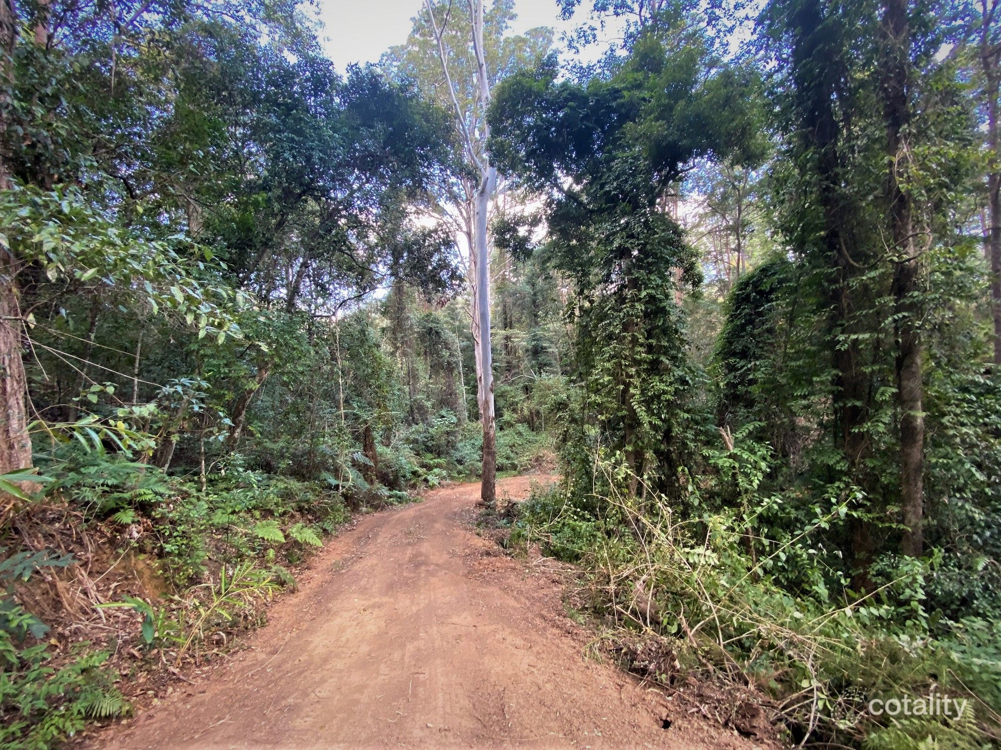 86 Tyalgum Ridge Rd, Tyalgum, NSW 2484