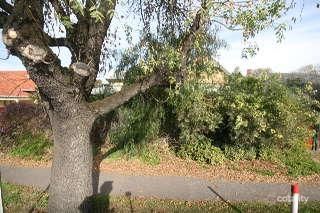 27 Nottage Tce, Medindie, SA 5081