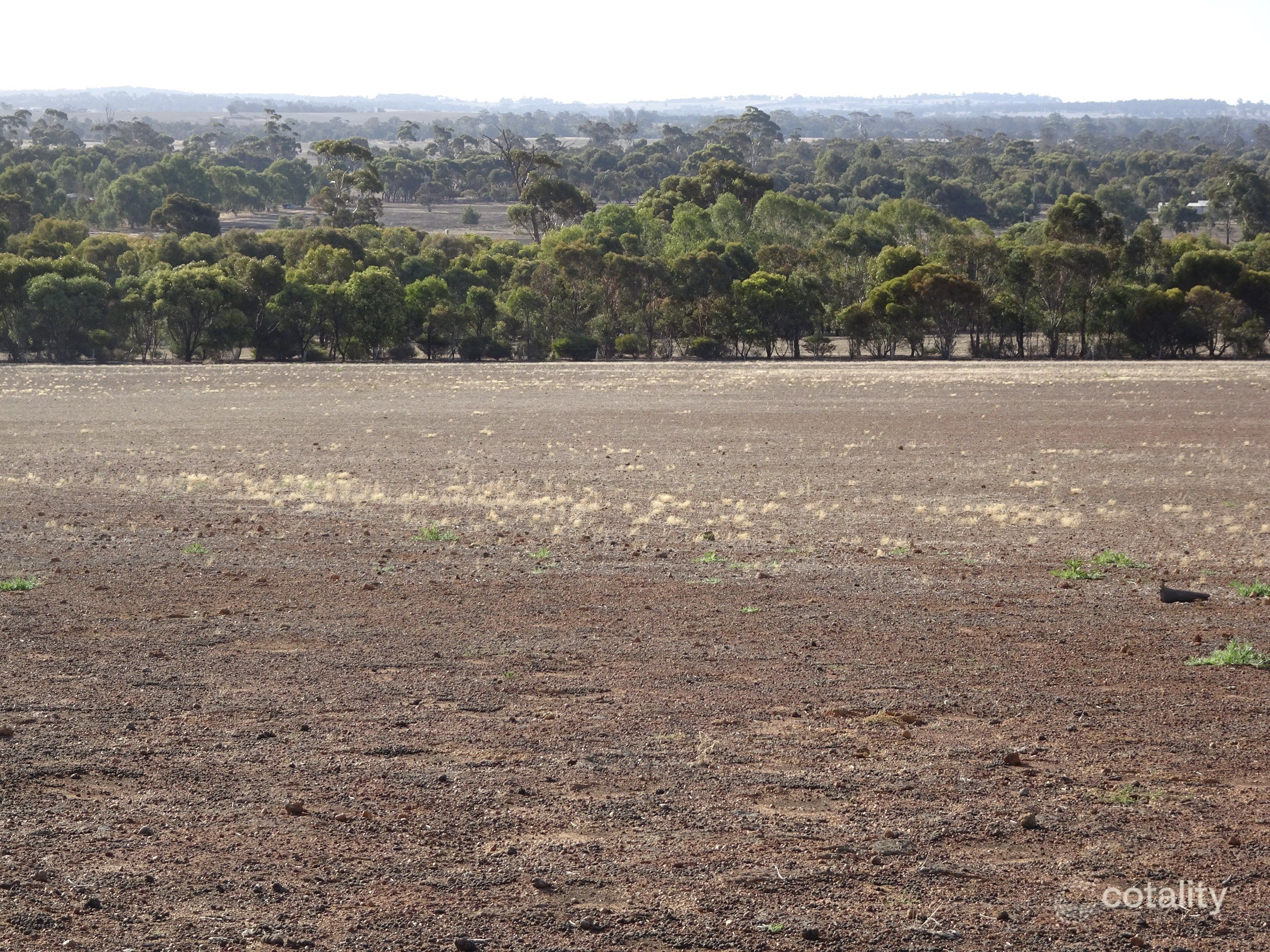 55 Daylesford Rd, Popanyinning, WA 6309