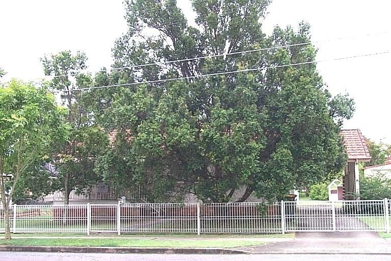 33 Craig St, Brighton, QLD 4017