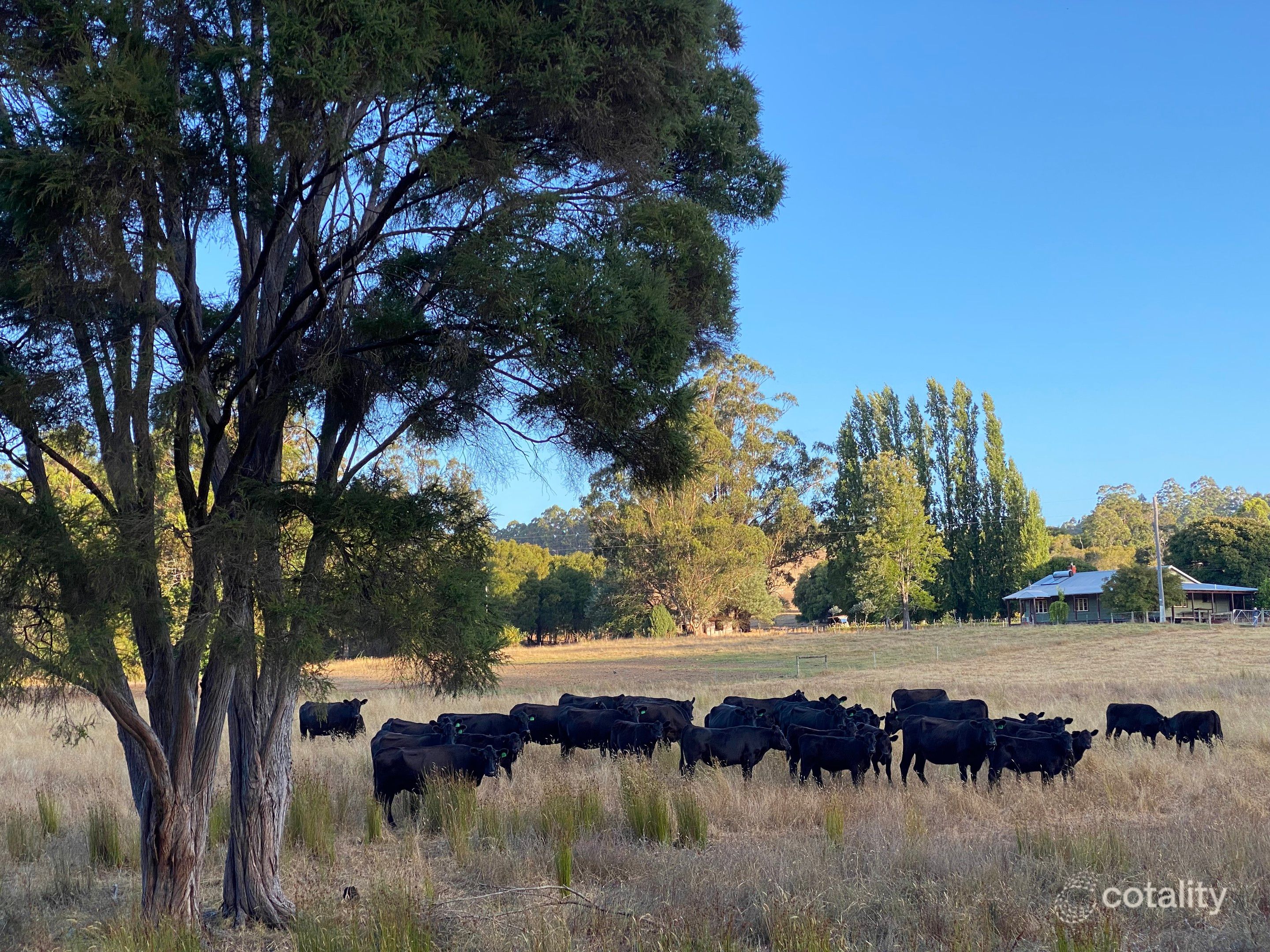 469 Glauders Rd, Collins, WA 6260