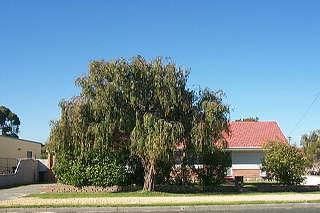 174 Safety Bay Rd, Shoalwater, WA 6169