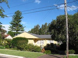 5 Bernie Ave, Forestville, NSW 2087