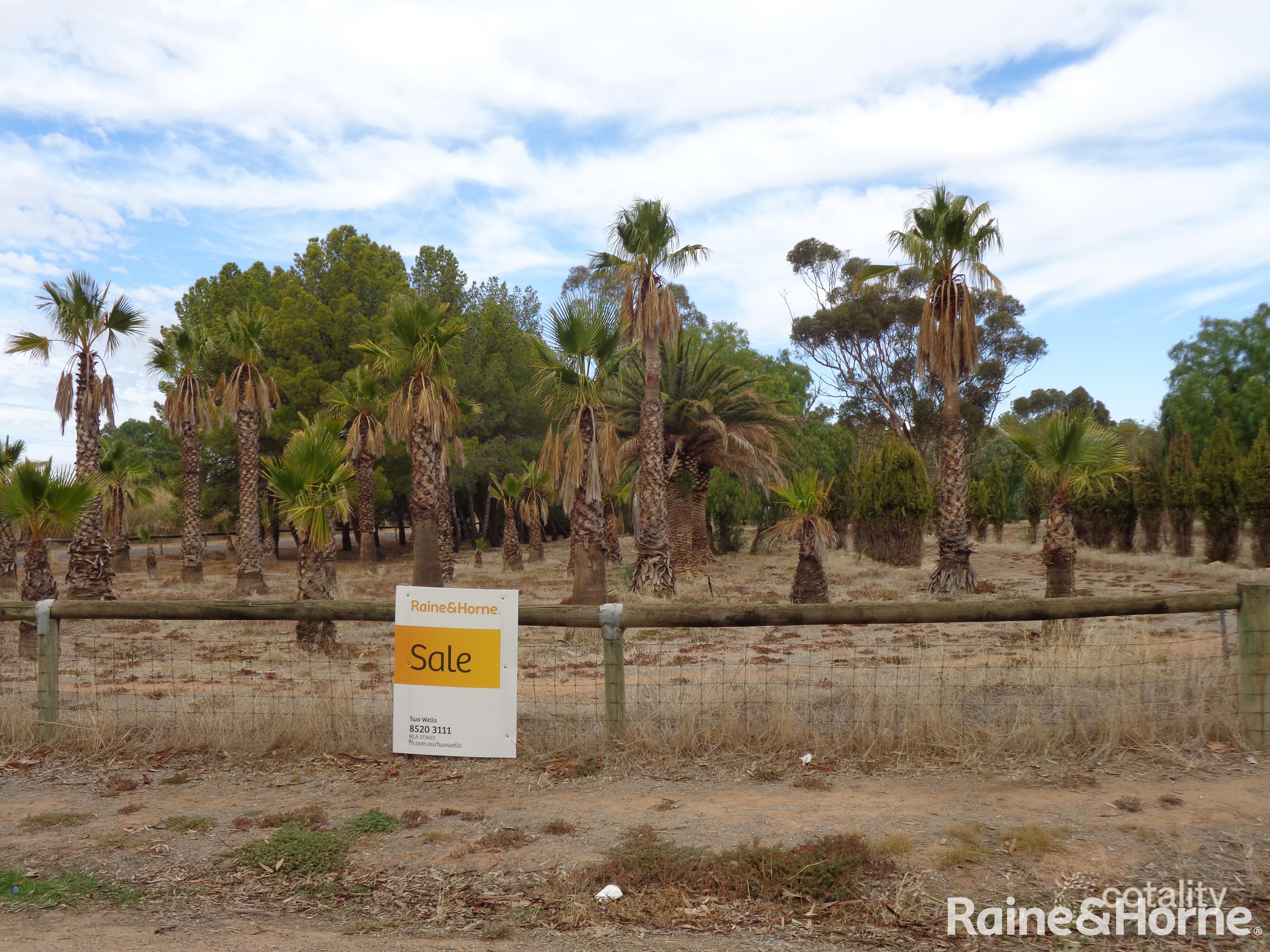 124 Dawkins Rd, Lewiston, SA 5501