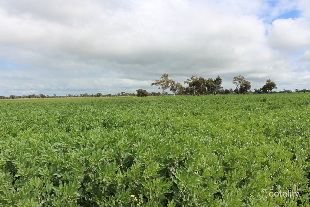 769 Wurlyana Rd, Brimbago, SA 5267